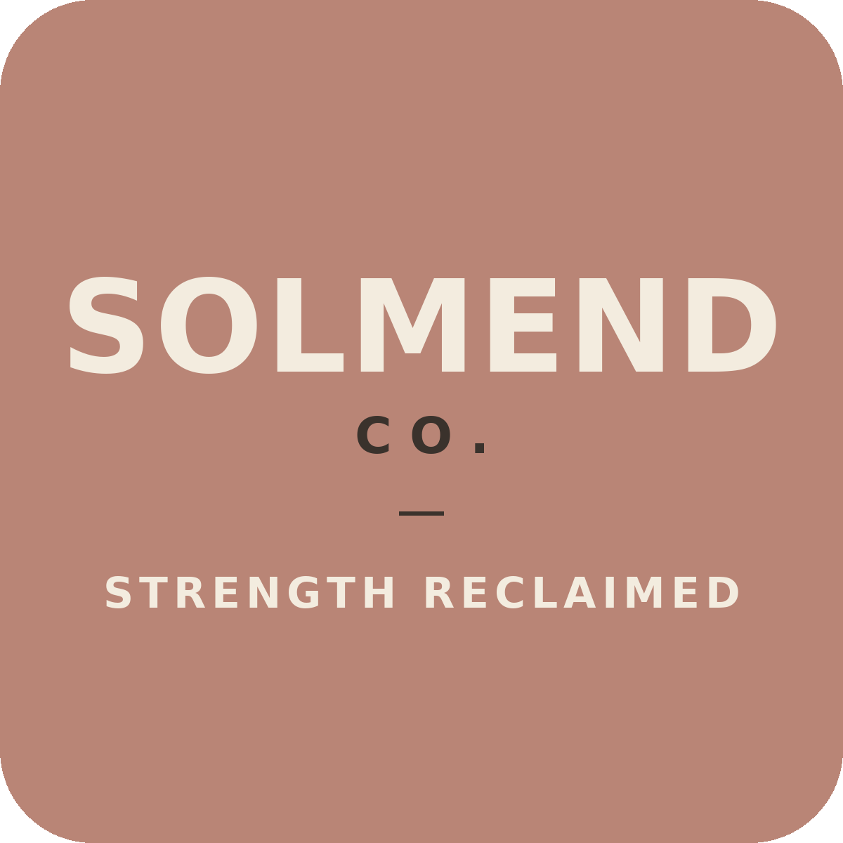 SolMend Co. logo